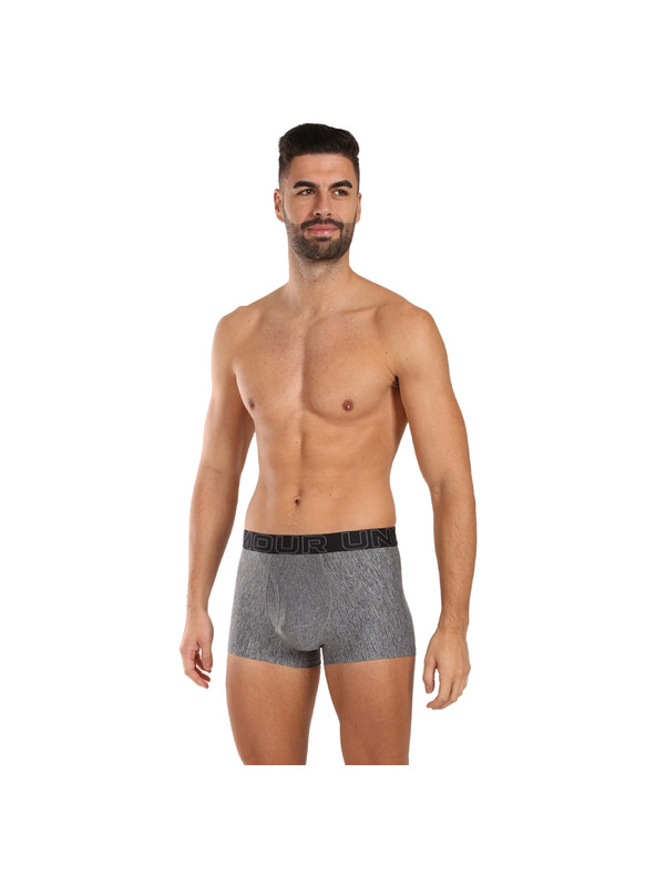 Under Armour Moške boksarice Under Armour M UA Perf Tech Nov 3in - 3pk