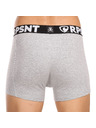 Represent Moške kratke hlače EXCLUSIVE SPORT GREY Represent