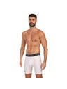 Under Armour Moške kratke hlače Under Armour HG Armour Shorts