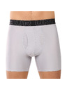 Under Armour Moške boksarice Under Armour M UA Perf Tech Nov 6in - 3pk
