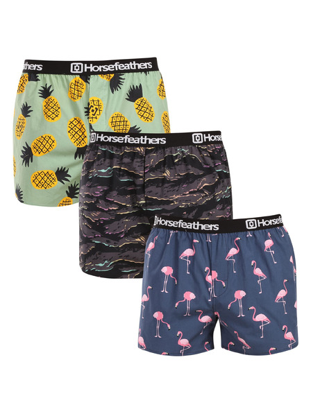 Horsefeathers Gaće Frazier 3pack - bundle 9