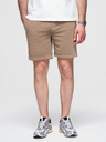 Ombre Clothing Moške bombažne športne hlače BASIC brown Ombre Oblačila