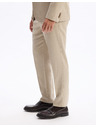 Celio Družabne hlace Loflaneur 24H