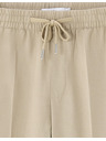 Celio Družabne hlace Loflaneur 24H