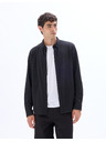 Celio Srajca Lapic