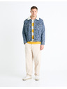 Celio Prugasto majico Fecond