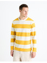 Celio Prugasto majico Fecond