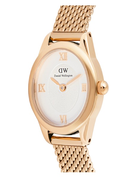 Daniel Wellington Ženske ure Daniel Wellington Ophelia Mini mesh ovalne DW00100940