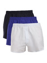 Calvin Klein Set treh - moške plavalne hlače Calvin Klein večbarvne