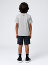 Under Armour Fantovski set Under Armour UA PRINTED SS SHORT SET-GRY