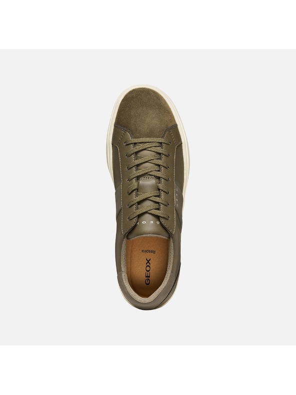 Geox Khaki moške superge Geox Baltmoore