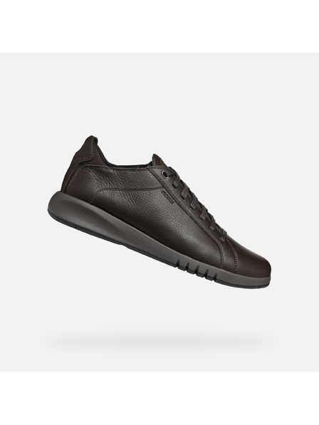 Geox Rjave moške superge Geox Aerantis