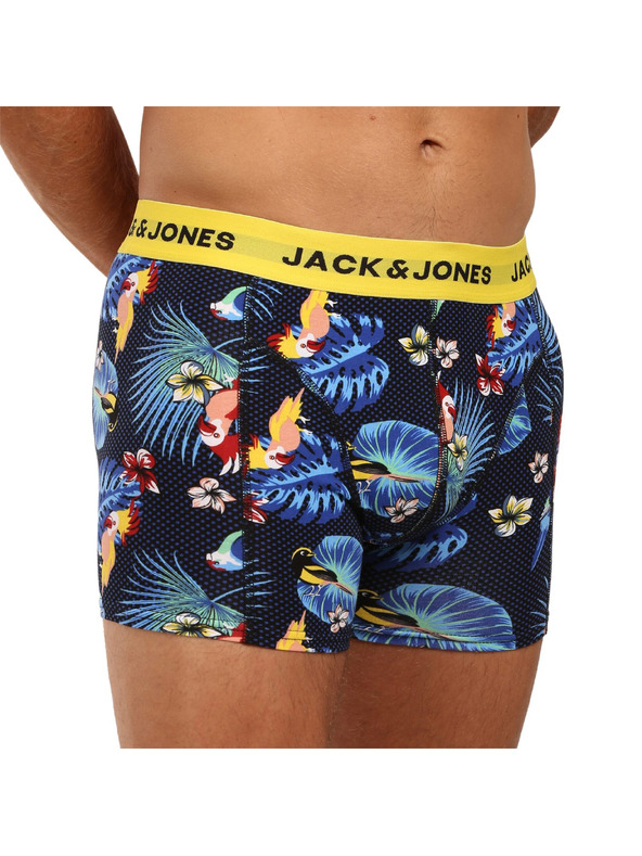 Jack & Jones Flower Oprijete boksarice 3 Piece