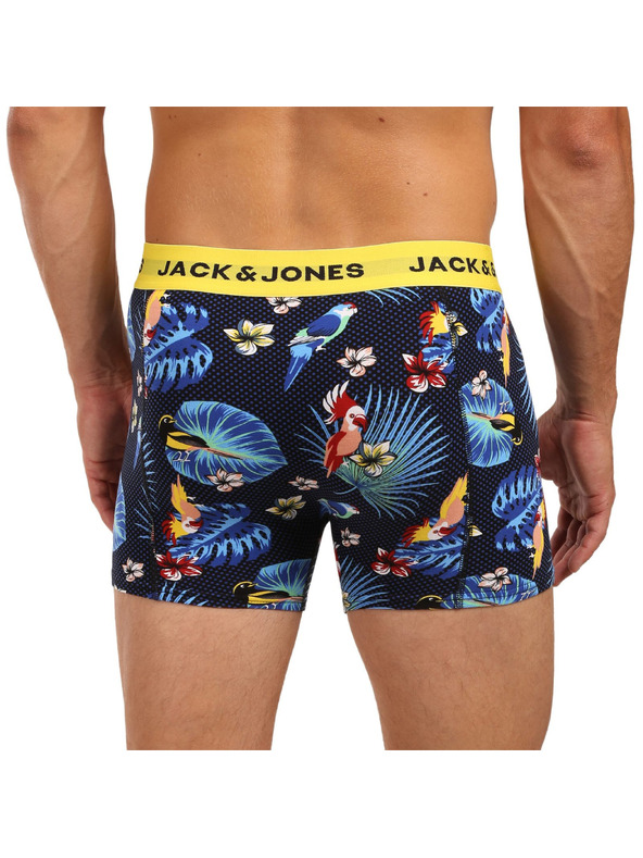 Jack & Jones Flower Oprijete boksarice 3 Piece