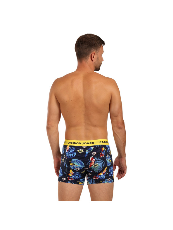 Jack & Jones Flower Oprijete boksarice 3 Piece