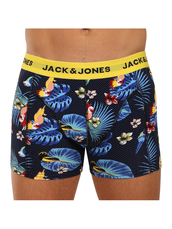 Jack & Jones Flower Oprijete boksarice 3 Piece