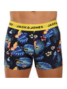 Jack & Jones Flower Oprijete boksarice 3 Piece
