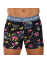 Jack & Jones Flower Oprijete boksarice 3 Piece