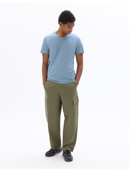Celio Majica Neuniv
